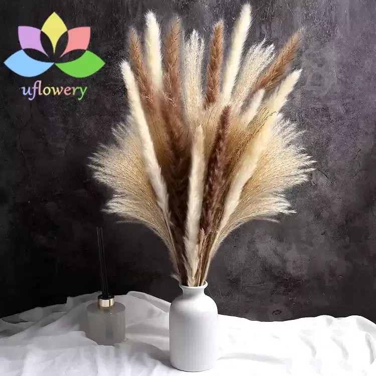 Pampas Grass Bouquet in Vase