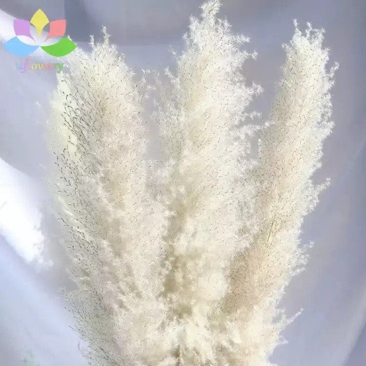 Grey Pampas Grass Decor